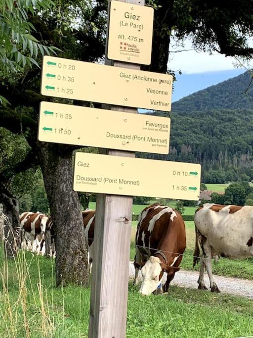 Petit Cocon Entre Lac, Golf Et Montagne, Proche D'Annecy Giez Eksteriør billede