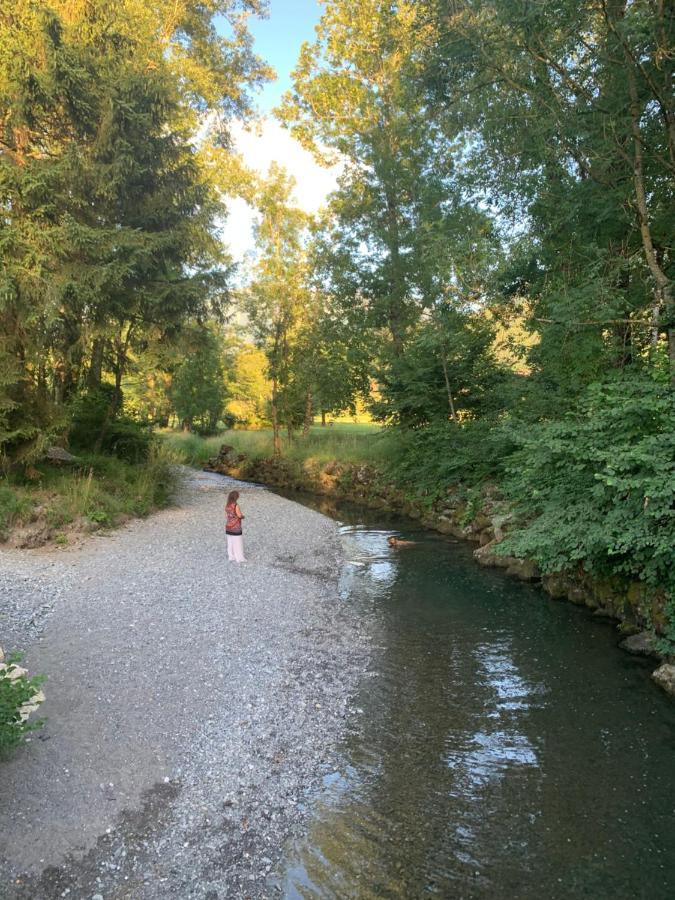 Petit Cocon Entre Lac, Golf Et Montagne, Proche D'Annecy Giez Eksteriør billede