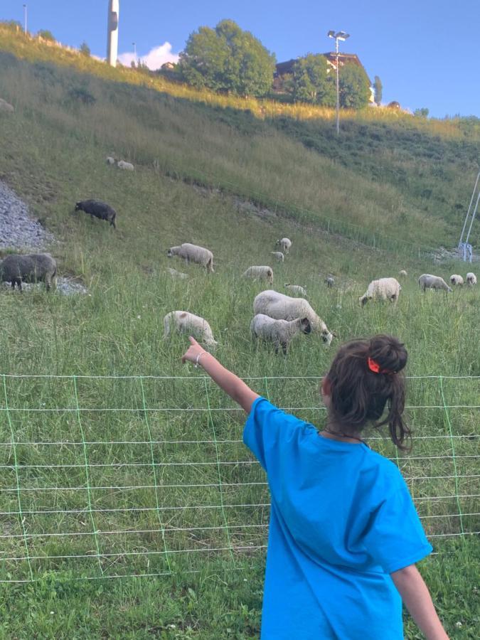 Petit Cocon Entre Lac, Golf Et Montagne, Proche D'Annecy Giez Eksteriør billede